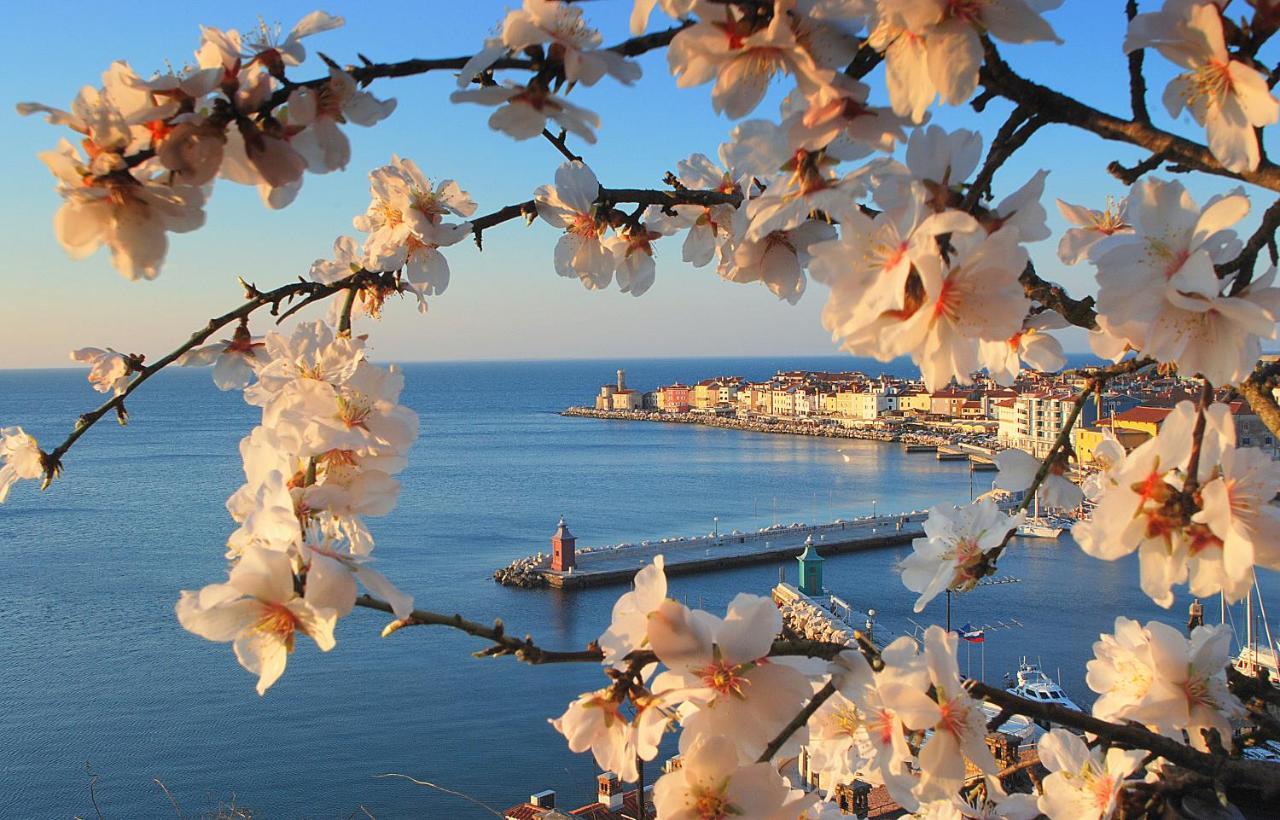 Apart Seaview Piran Exterior foto